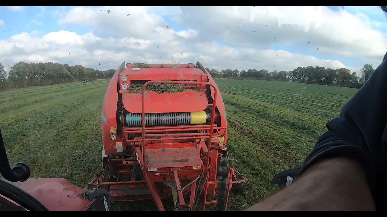 Last of the Silage on a