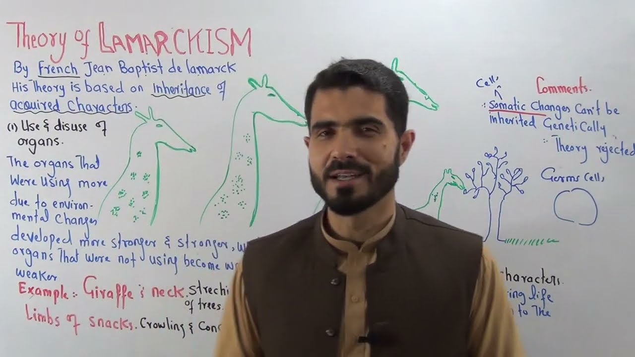 L-3 Biology ii Theory of Lamarckism, Use and disuse of organs Lecture 3  by Dr. A Hadi
