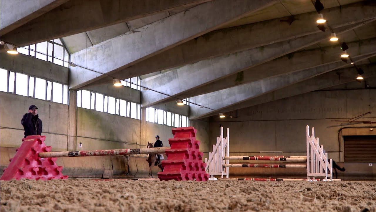 Formation cavalier préparateur jeunes chevaux