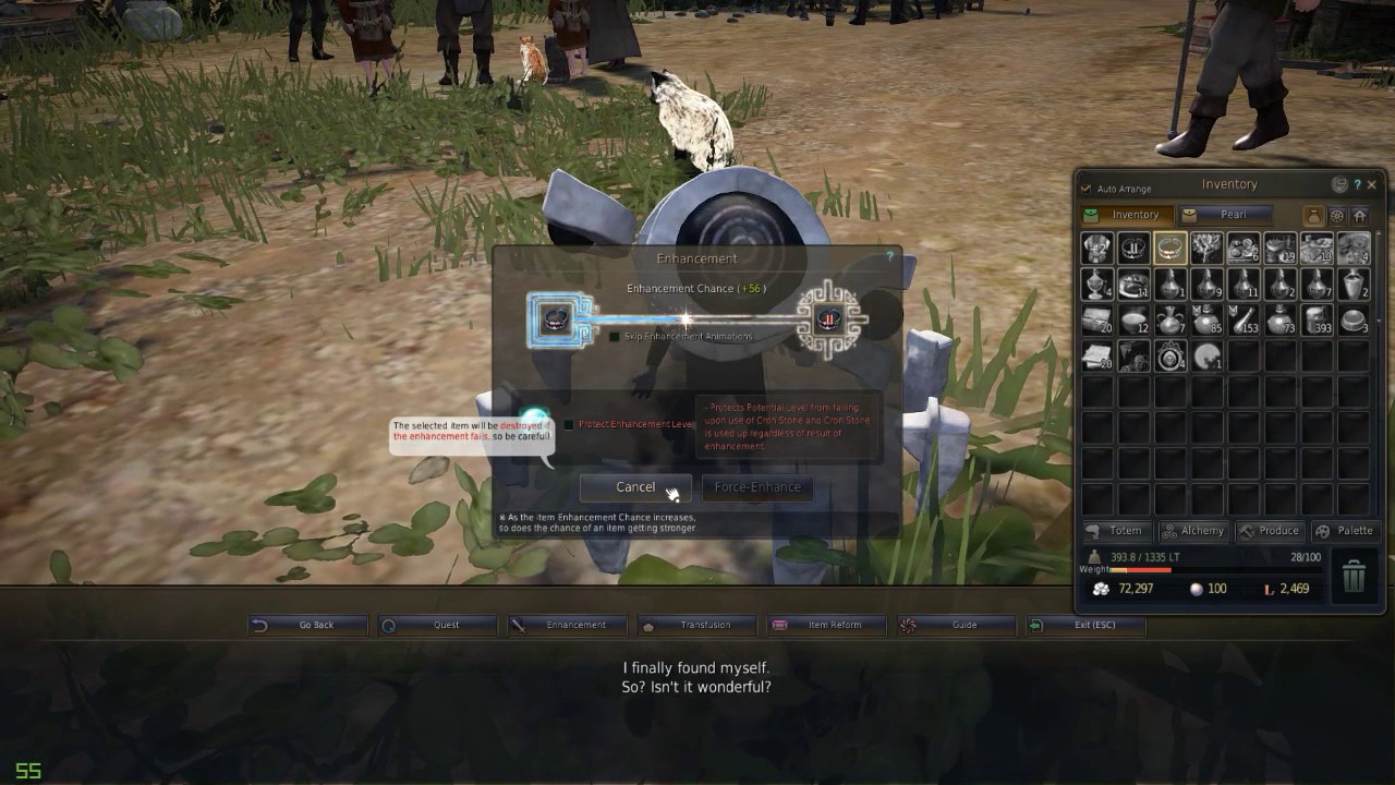 Black Desert fails high end accessoroies