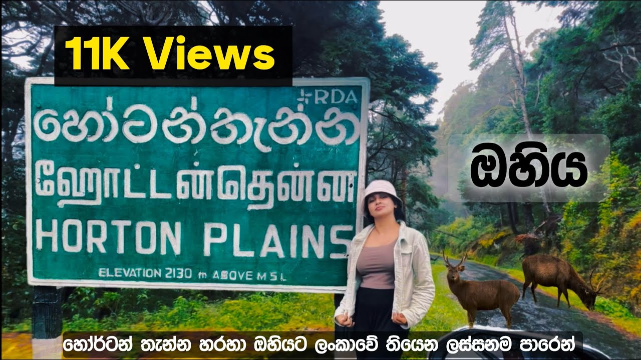 Exploring Ohiya & Horton Plains | A Scenic Journey From Nuwara Eliya | Horton Plains , SriLanka