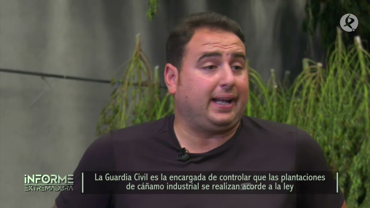 Así es una explotación de cáñamo legal | Informe Extremadura