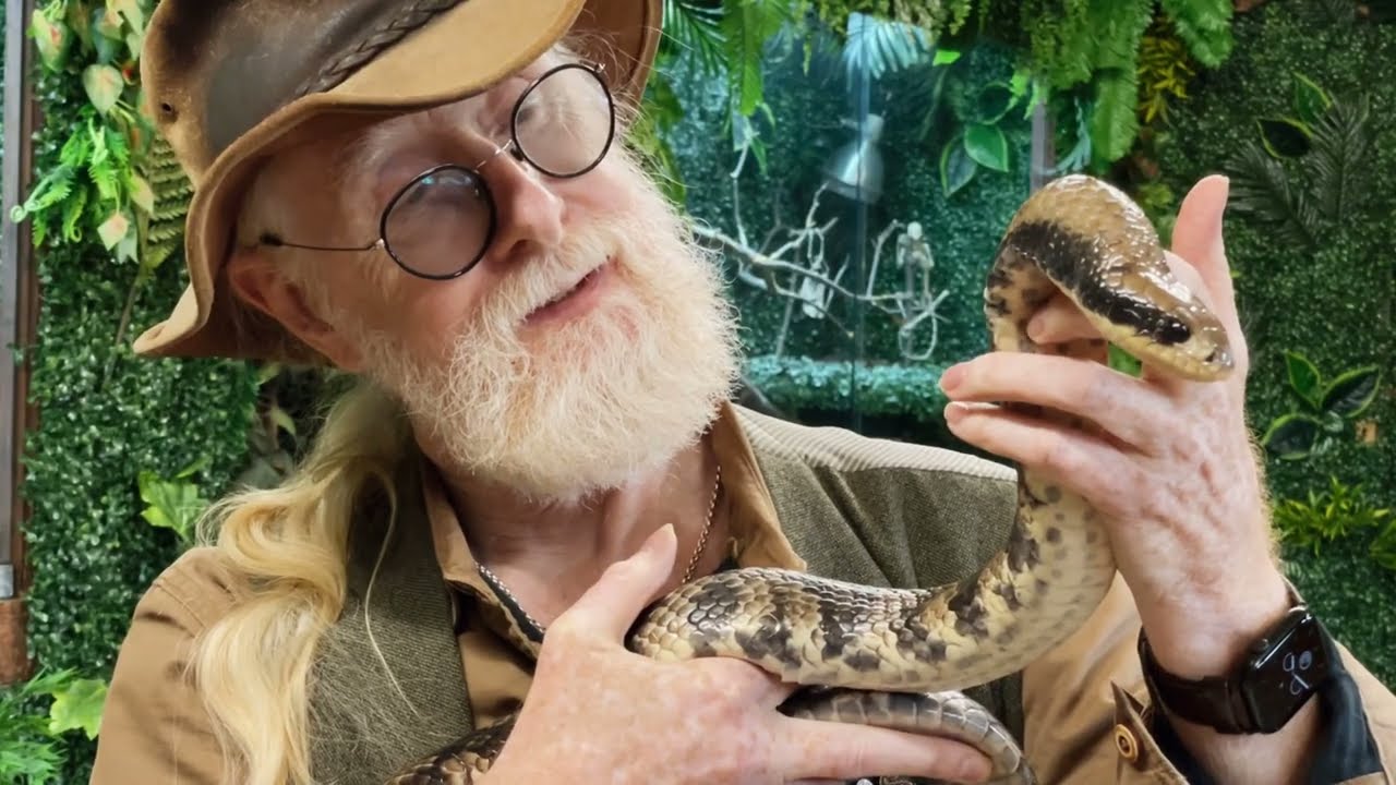 Reptile expert Mark O'Shea talks about forthcoming visit to Telford's Exotic Zoo