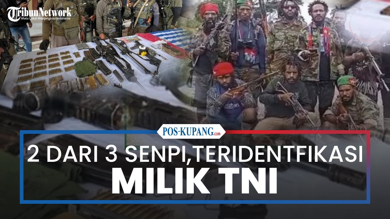 Asal Senjata Api KKB Ananias Ati Mimin yang Dilumpuhkan Satgas Damai Cartendi Pegubin, 2 Milik TNI