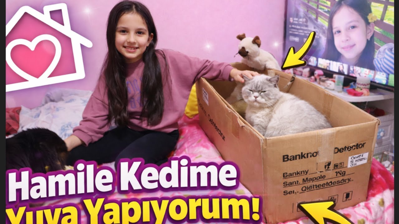 Hamile Kedim İçin Yuva Yaptım 😭🐾 | Çok Duygusal