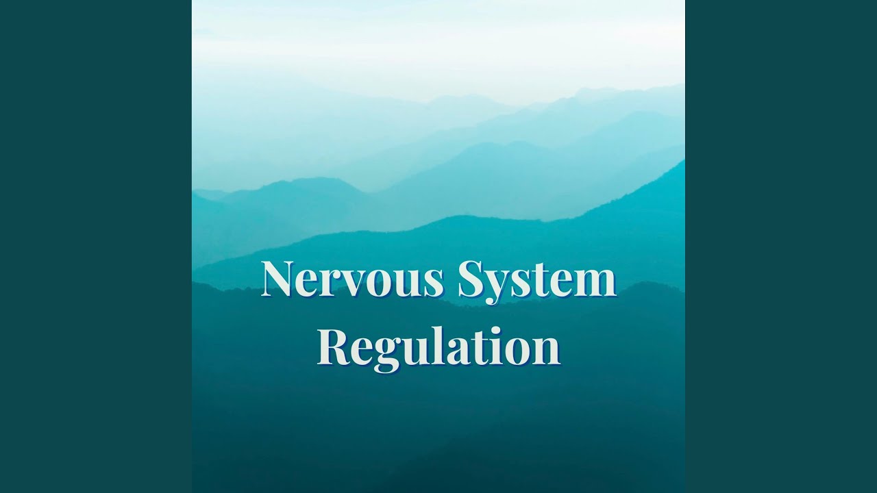 Nervous System Regulation (Regulation Series Vol. 1)