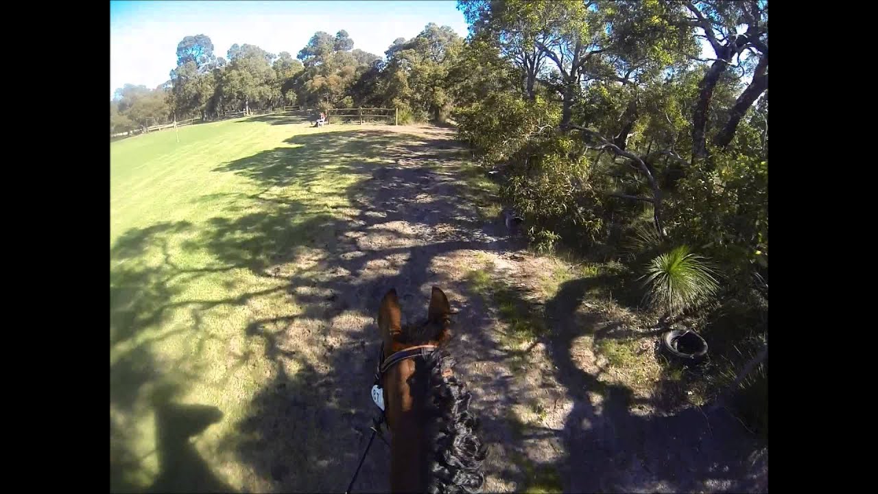 Wallangarra ODE Bobbles