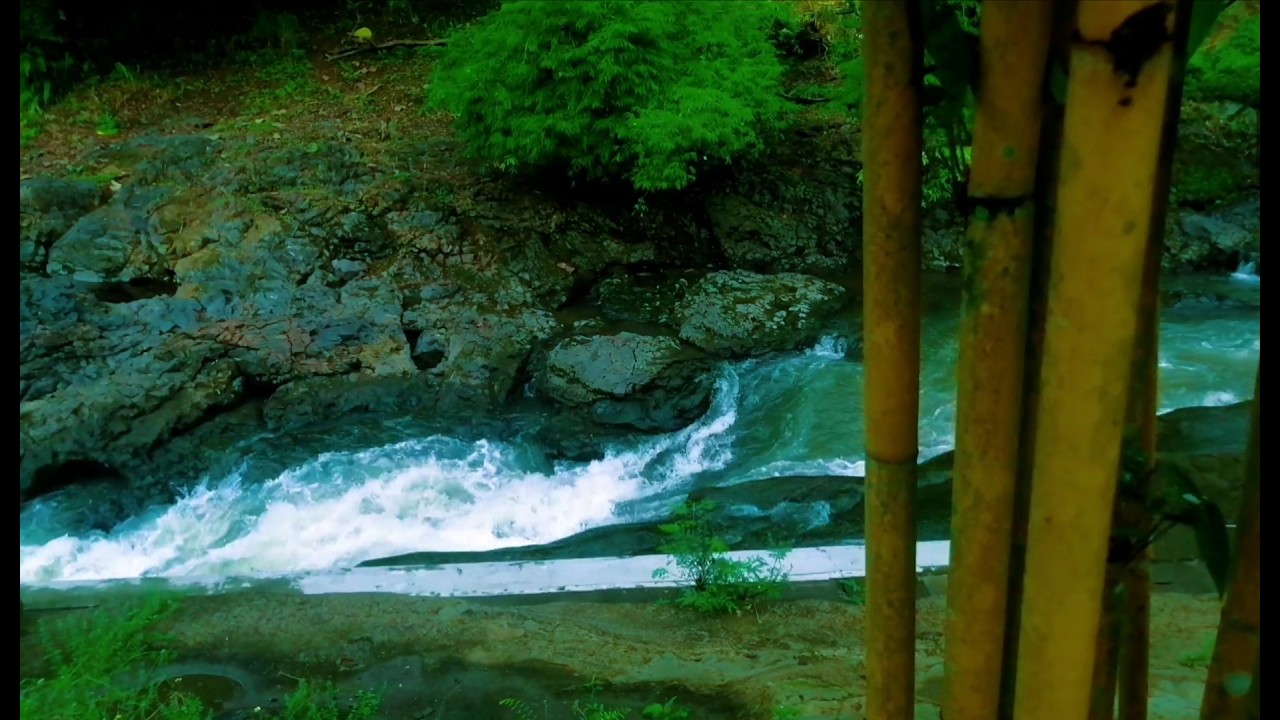 Tranquil River Ambience – Soft Stream and Forest Sounds for Deep Sleep and Inner Peace