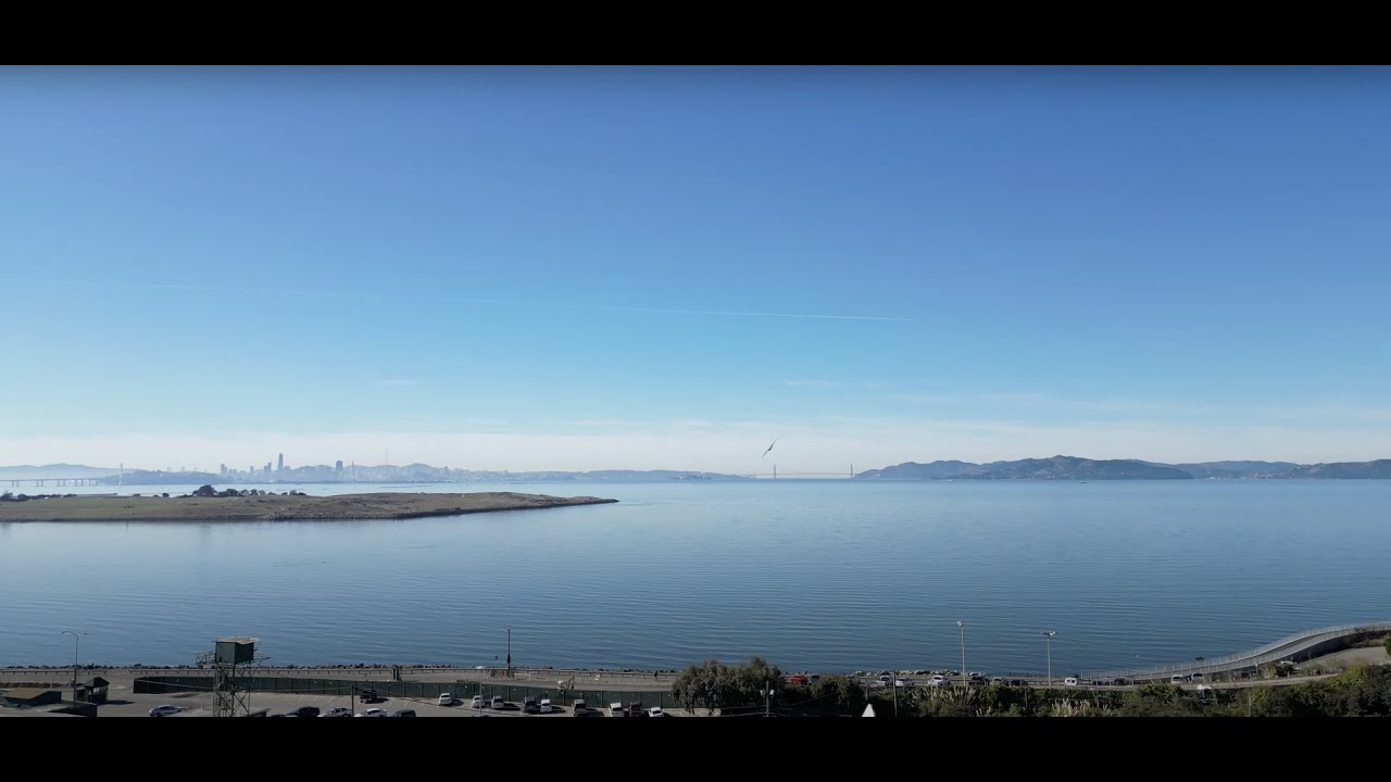 Our robotic falcon at the race track in San Francisco, herding  pigeons.