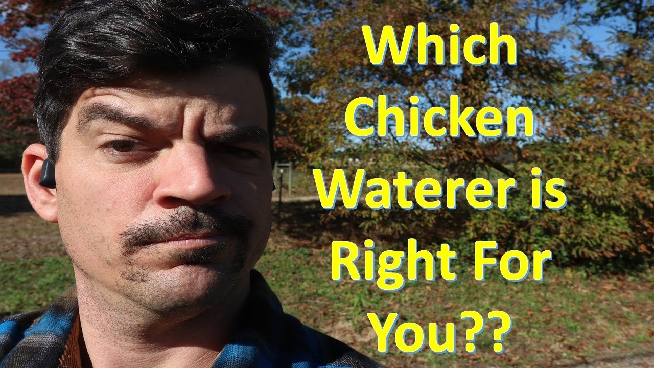 Bell Waterers? Cups? Nipple Waterers? What to Use? Here is What We Are Using Now. FFE#13
