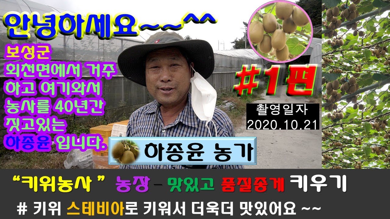 20201021촬영/ #1편 / 스테비아농법 전남보성키위농가 하종윤 농장 방문인터뷰