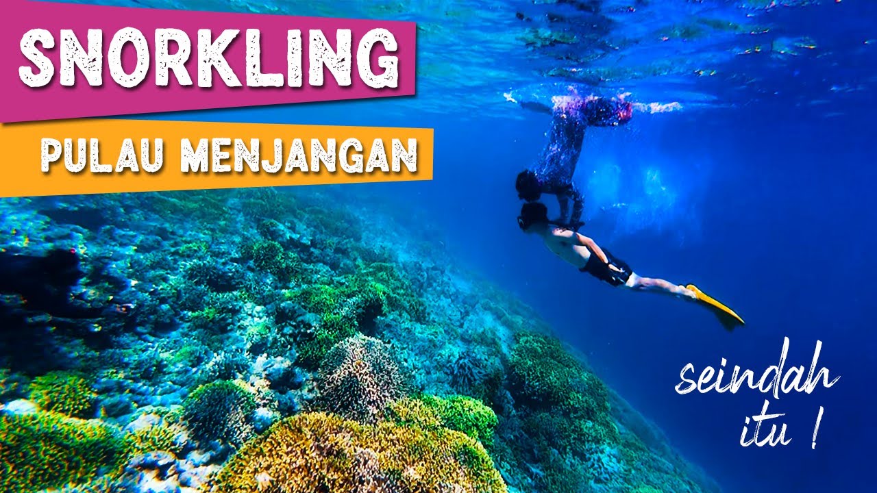 Keindahan Bawah Laut Snorkling Underwater PULAU MENJANGAN & TABUHAN Banyuwangi Bali (Part 2)