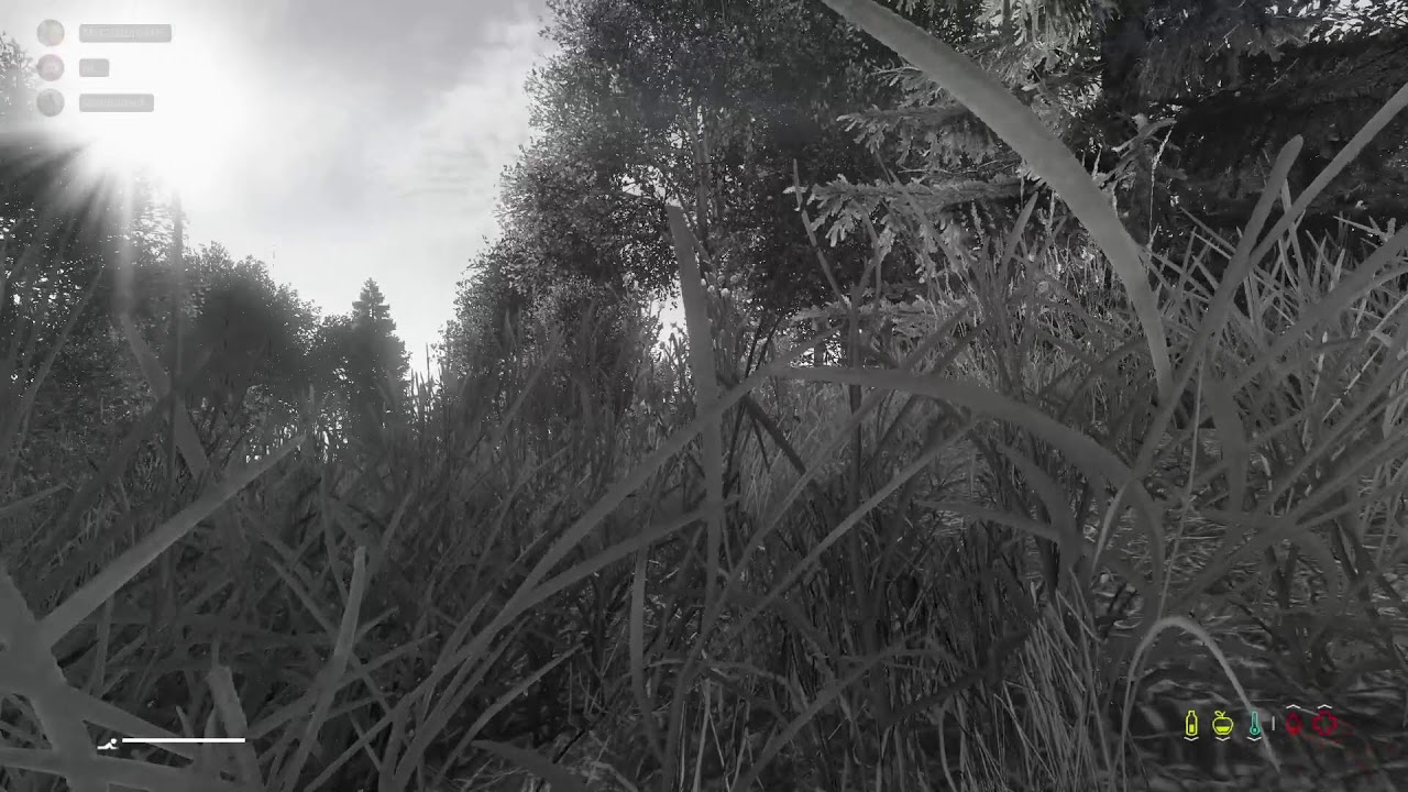 DayZ - more Deadfall. Passage?