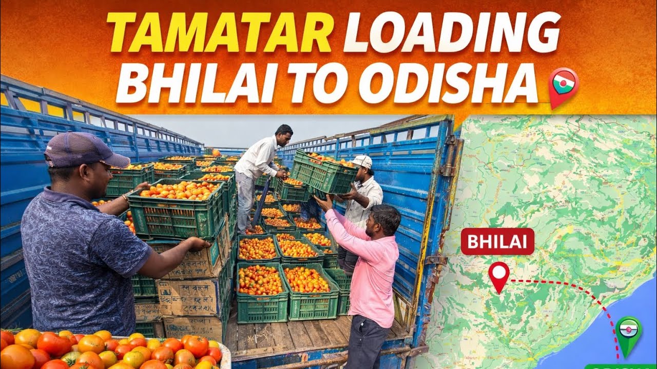 Tamatar 🍅 Loading nepal to udisa || ful vlog 🚚 #viral #vlog 