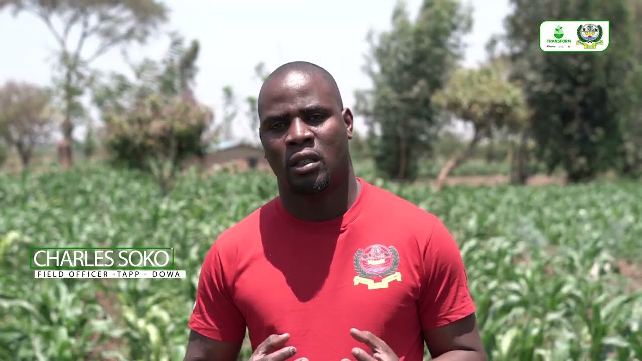 The story of Gerald Katsakunya: Building household resilience through irrigation farming