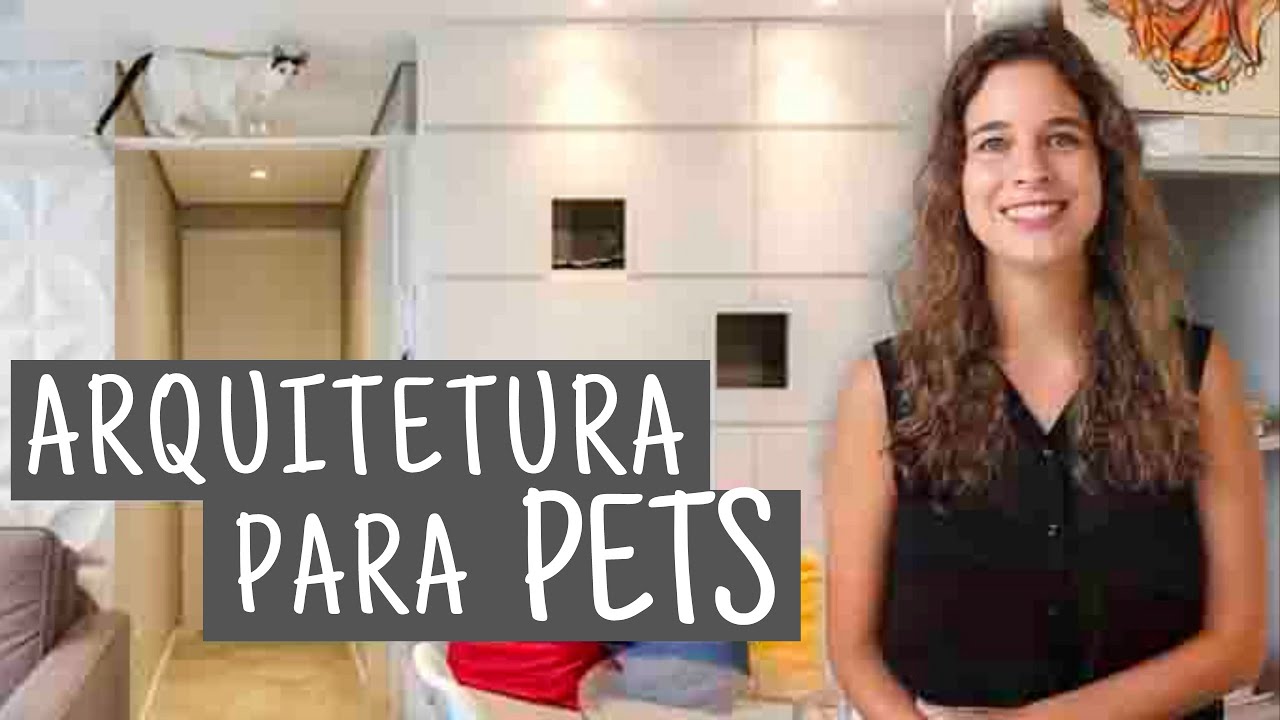 Por dentro do Projeto | Projeto para 4 Gatos