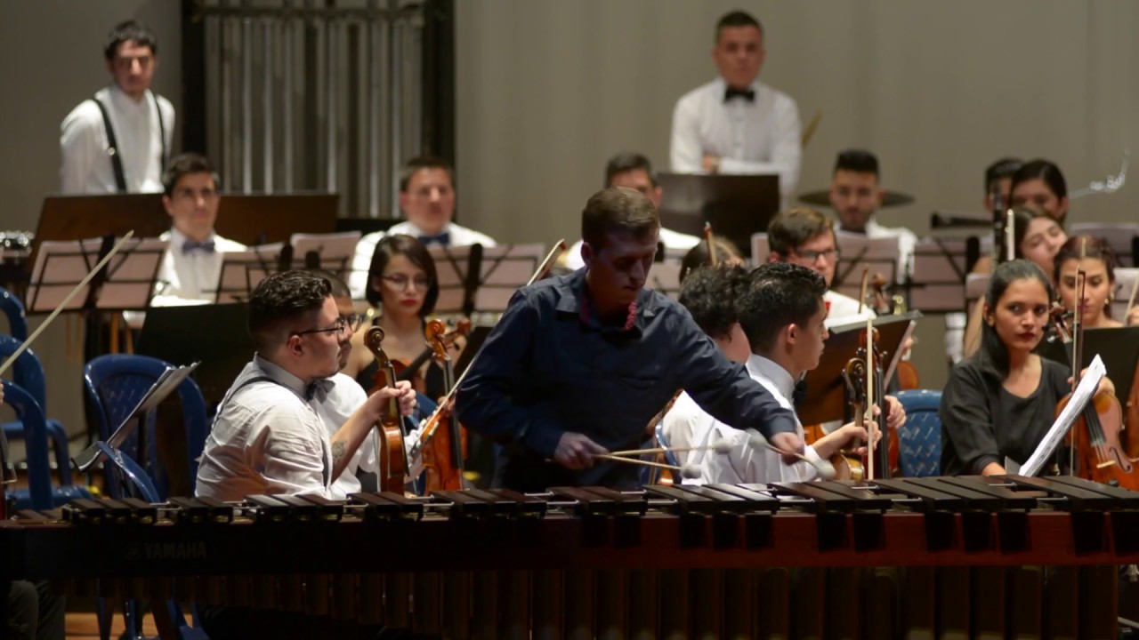 CONCERTO FOR MARIMBA By Sergei Golovko