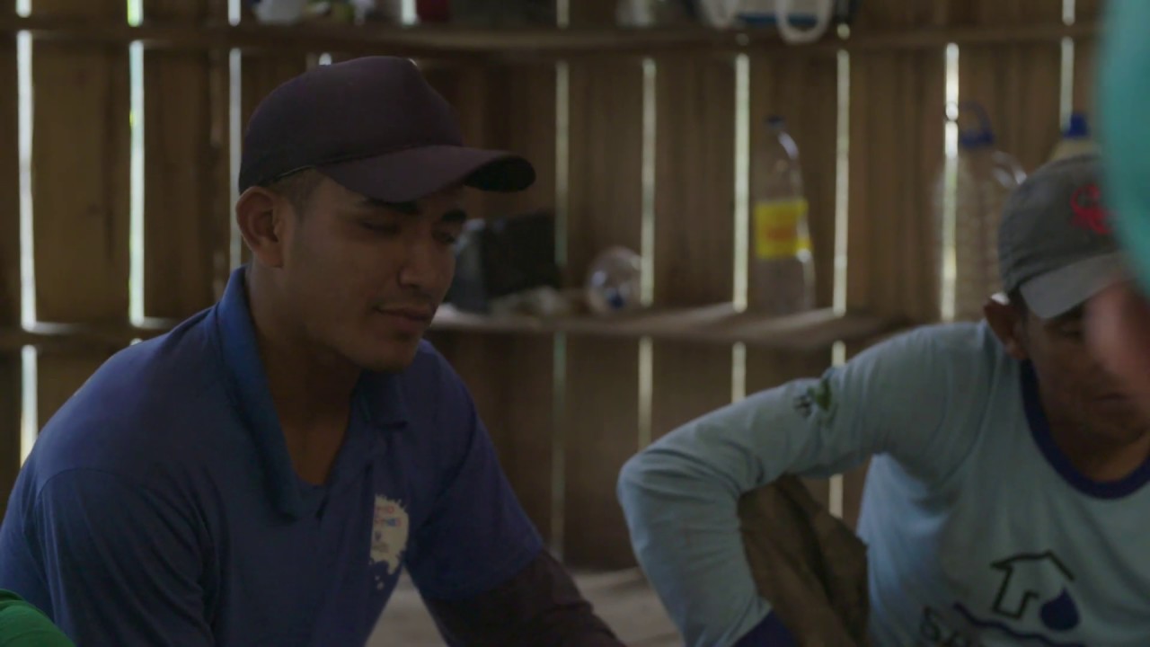 2019 Rolex Awards Laureate Documentary: João Campos-Silva