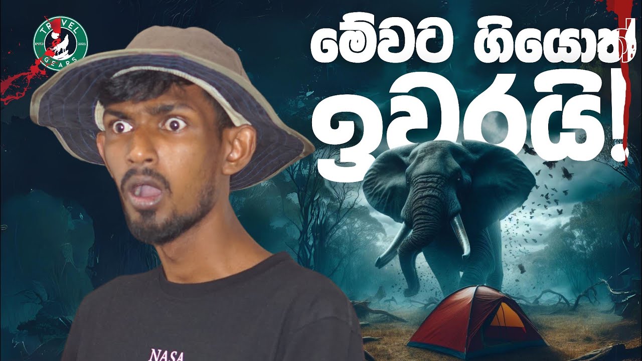 ලංකාවෙ භයානකම කදවුරු භූමි මෙන්න !! Sri Lanka's Most Dangerous Animal Activist Campgrounds in Sinhala