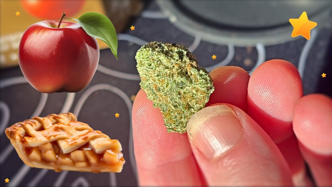 Apple Tartz Strain Review