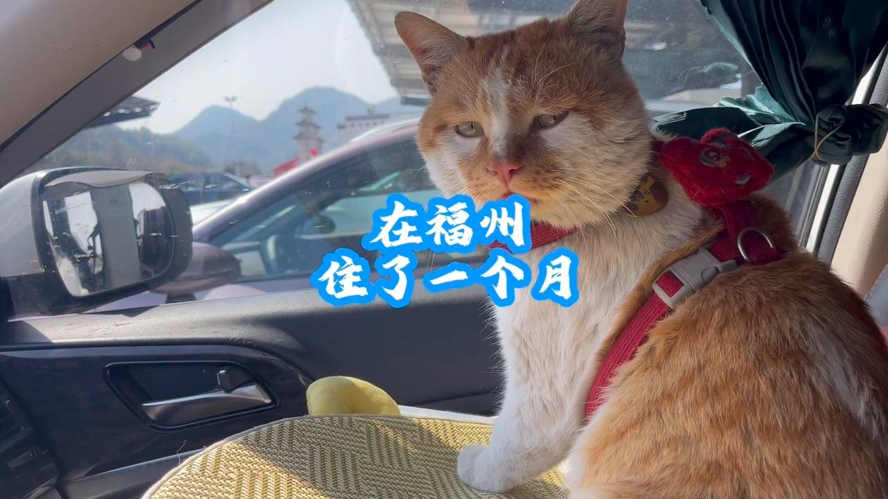 福州旅居整一月，打点行装再出发，行程未定心怅然，独自迷惘