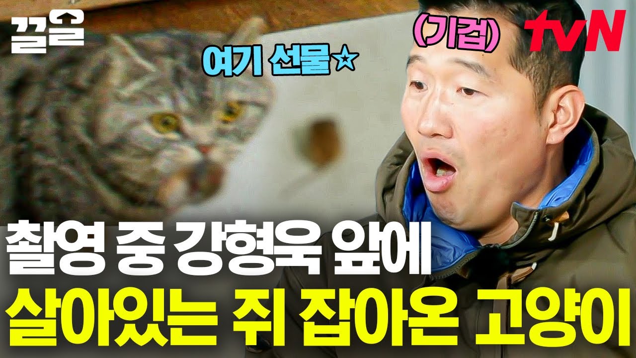 개통령 강형욱 이제는 고양이 마음까지 사로잡다?? ㅋㅋ 갑자기 쥐를 물고 와서 살포-시 강형욱 앞에 두고 가는 야옹이😼 | 고독한훈련사