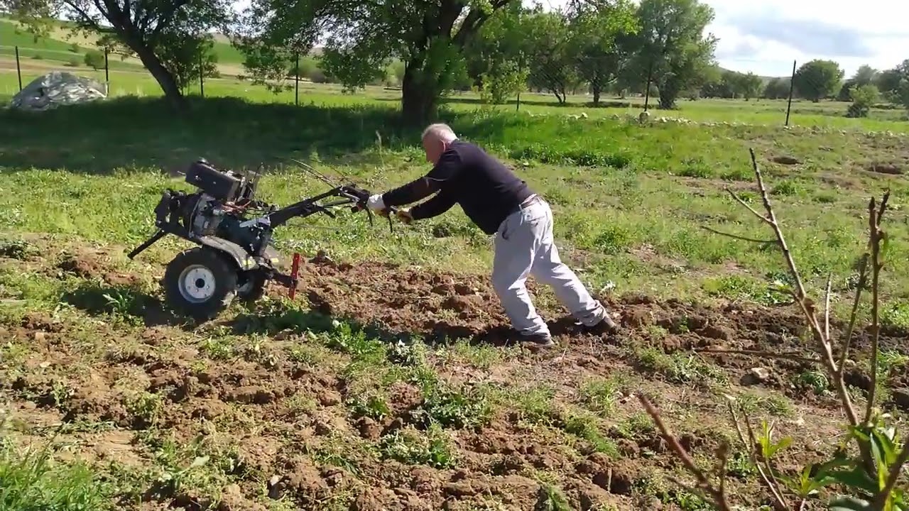 29 Nisan 2025 PATPATLA ÇİT SÜRMEK 
