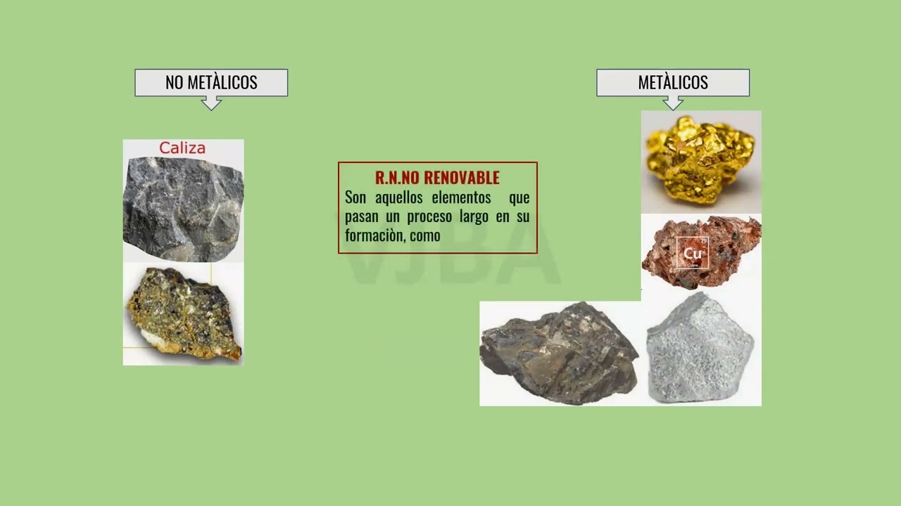 8º SEM T8 BIO SEC I - RECURSOS NATURALES