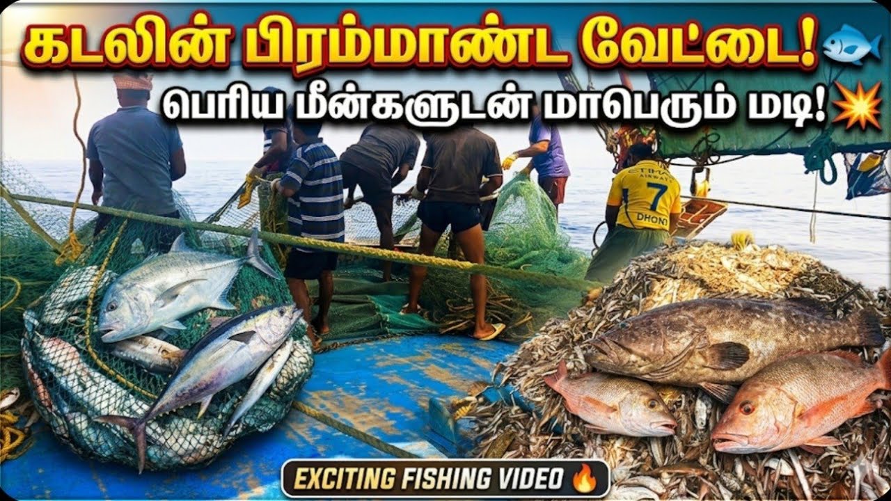 கடலில் சும்மா கிடைக்கிற மீனுக்கு ஏன்டா இப்படி விலை வச்சு விற்கிறீங்க?