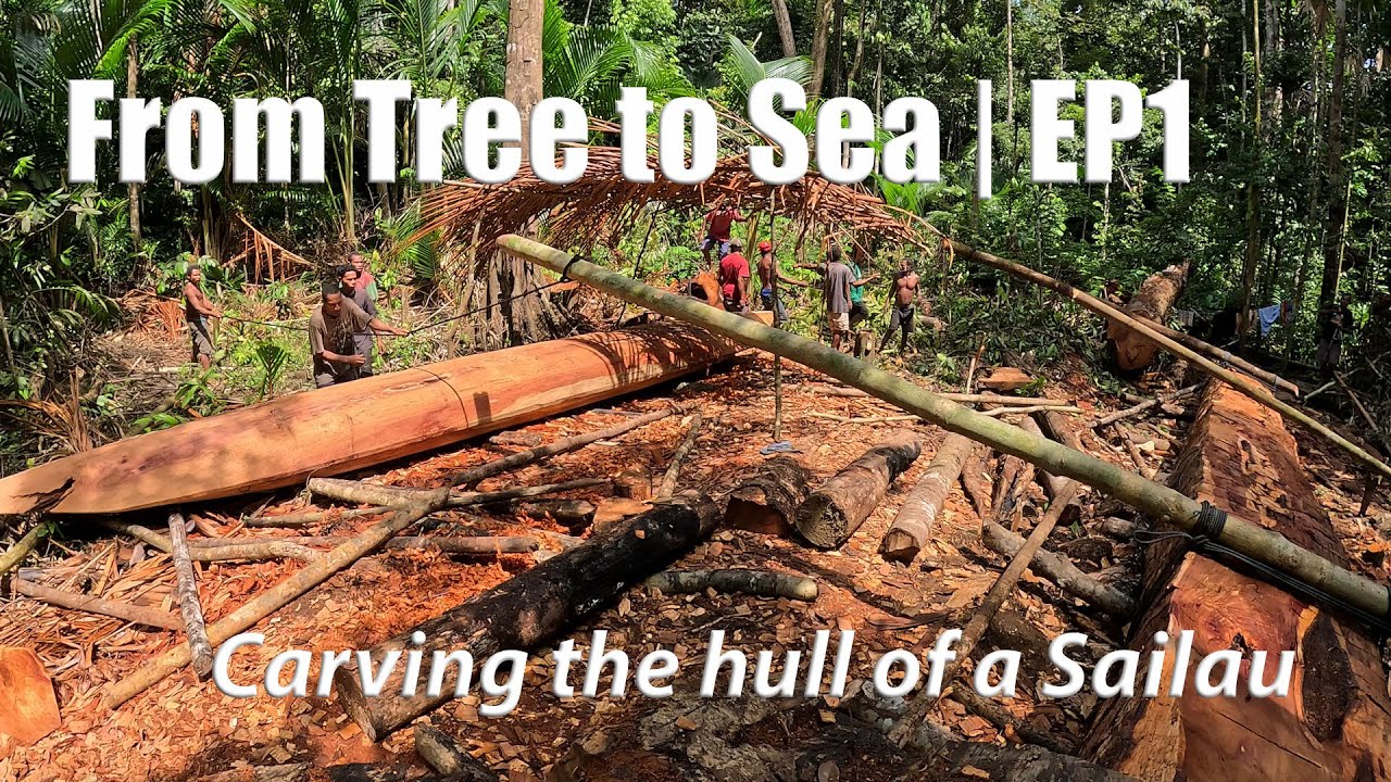 From Tree to Sea | Ep 1: Shaping the Sailau – PNG’s Traditional Canoe Revival