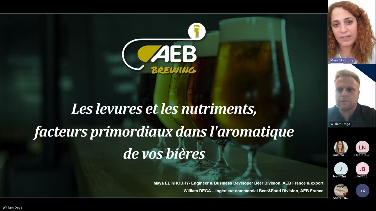 AEB Brewing WEBINAR: Yeast nutrients as beer flavour booster (FR - France)