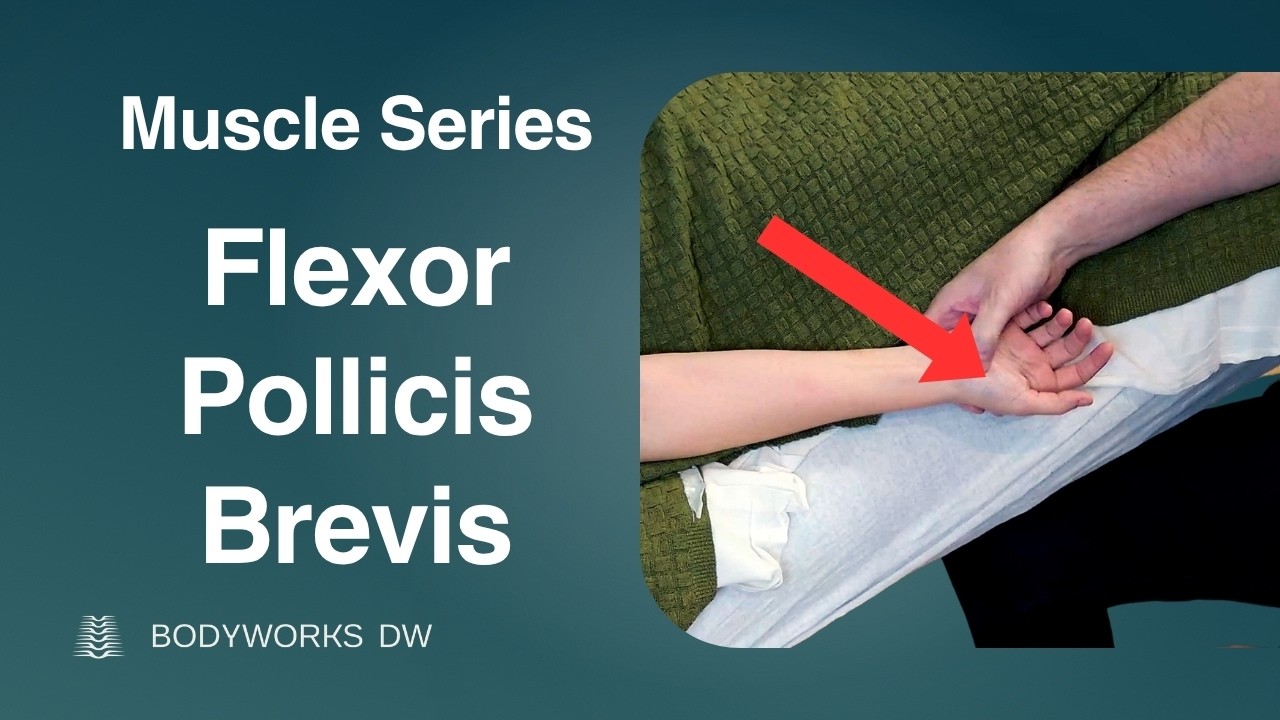 Master FLEXOR POLICIS BREVIS Massage in 5 Minutes!