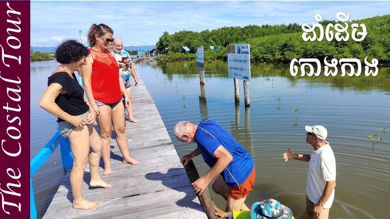 🇰🇭 Mangrove Tree Planting Tour Community Based Tourism Cambodia | ត្រពាំងសង្កែ ភូមិនេសាទ