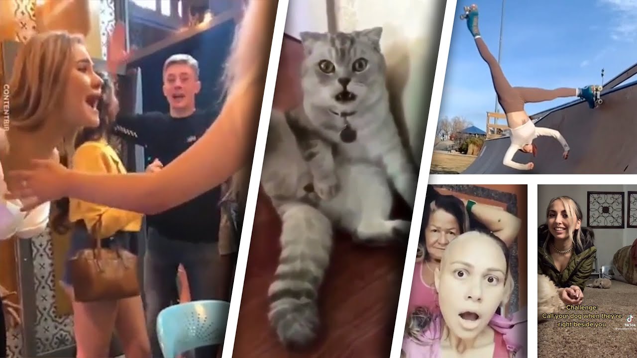 Are You Seeing This Shit #5 - [Reddit Compilation #45]