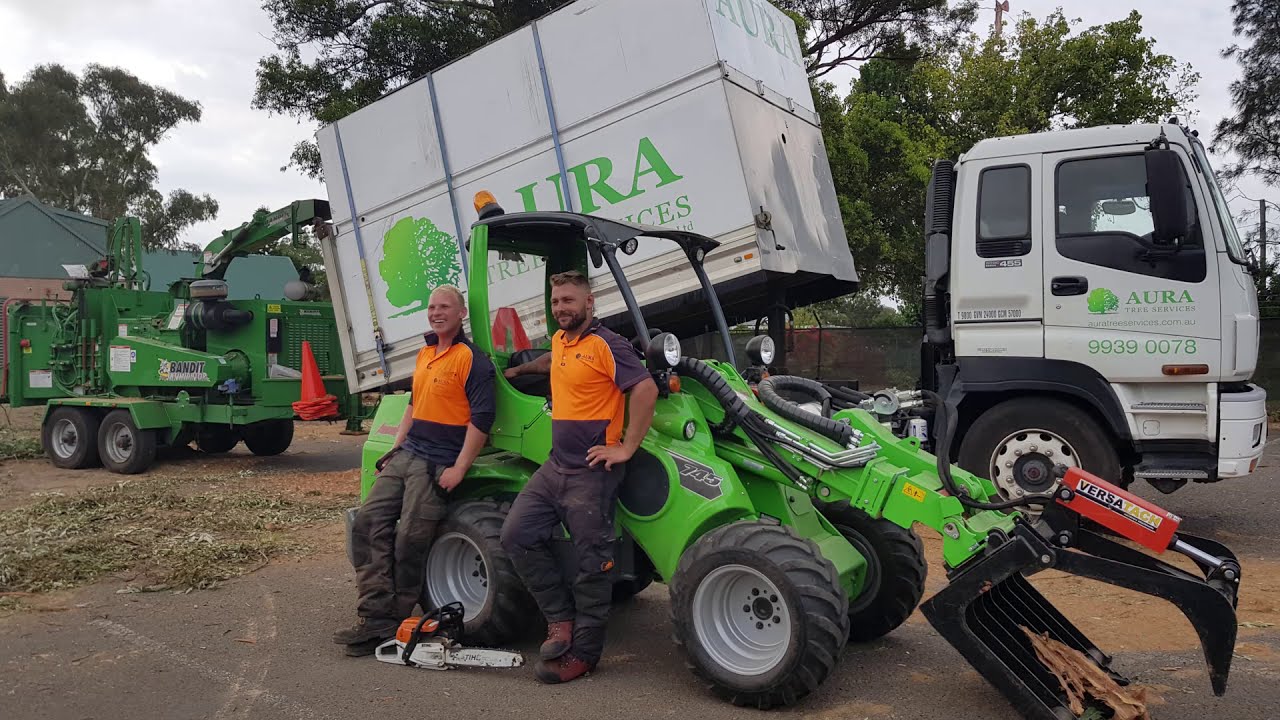 Avant 745 Optidrive  ArborPro Mini Loader for Arborists and Tree Care
