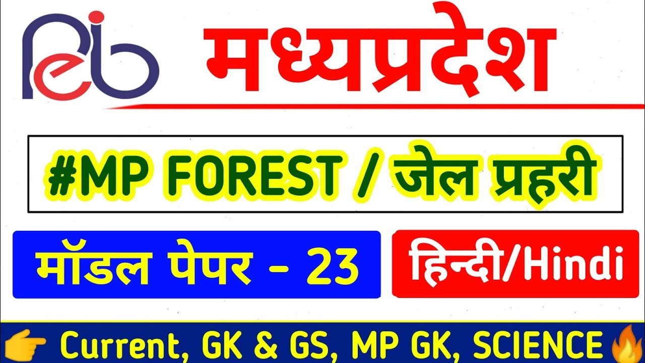 MP FOREST HINDI | हिन्दी | mp forest hindi class | mp forest hindi practice set | #mpforesthindi
