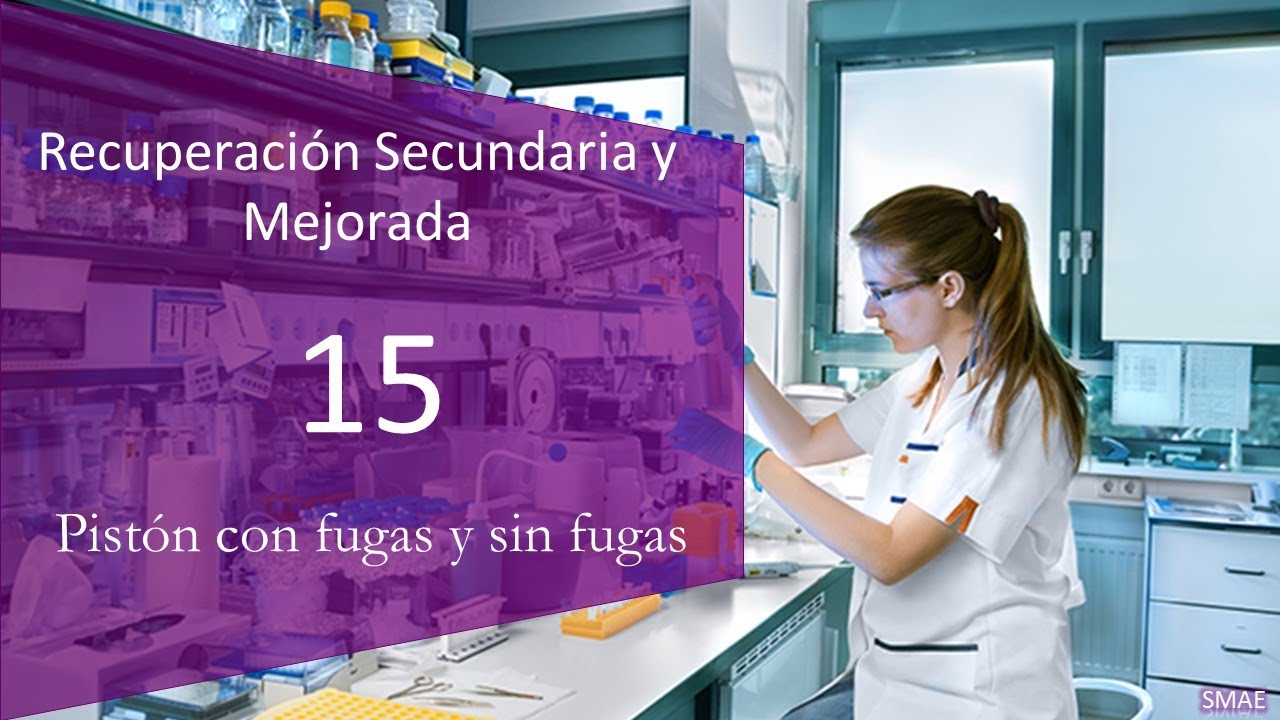 Pist&oacute;n con fugas y sin fugas [RSM]