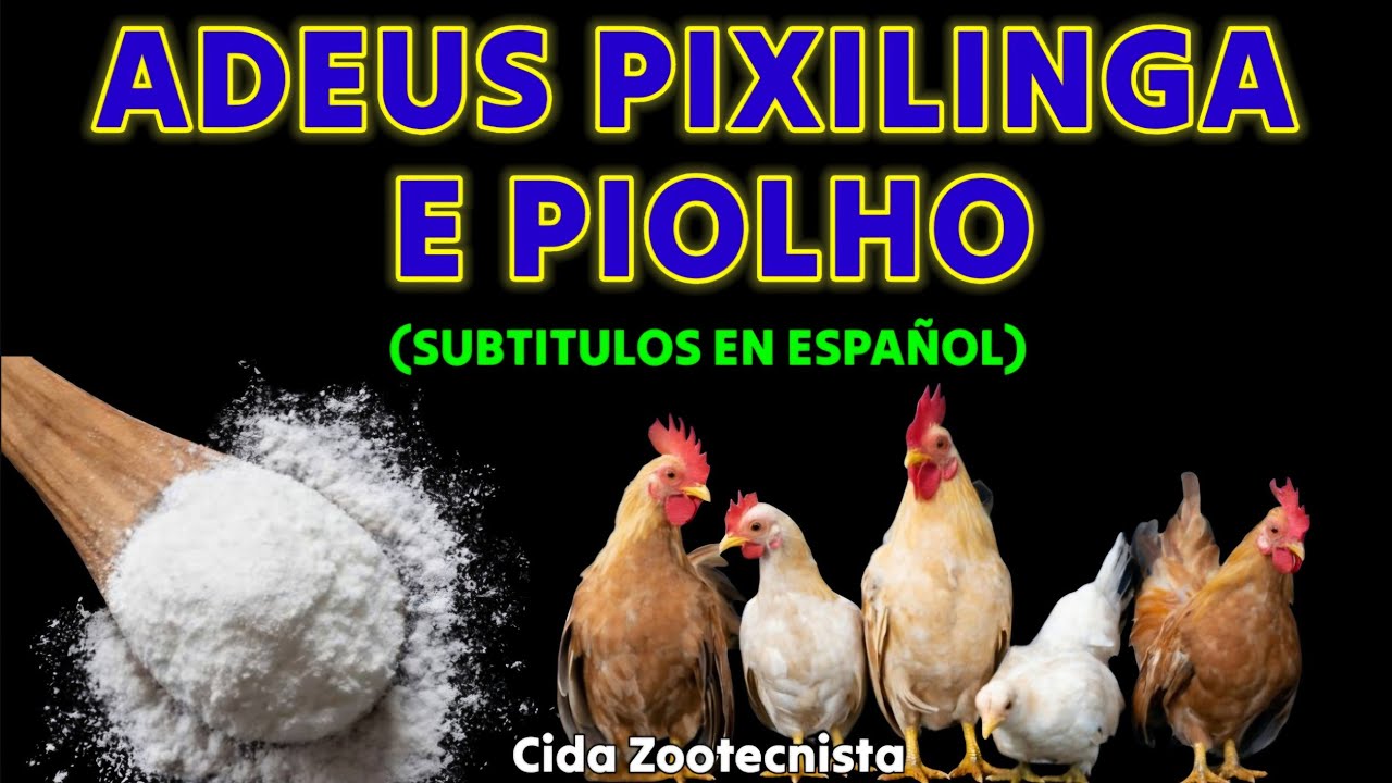 DIGA ADEUS AO PIOLHO E A PIXILINGA DE FORMA NATURAL E EFICAZ