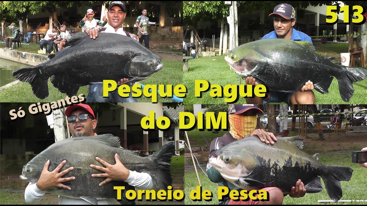 Torneio de Pesca Esportiva no Pesque Pague do DIM - Fishingtur 513