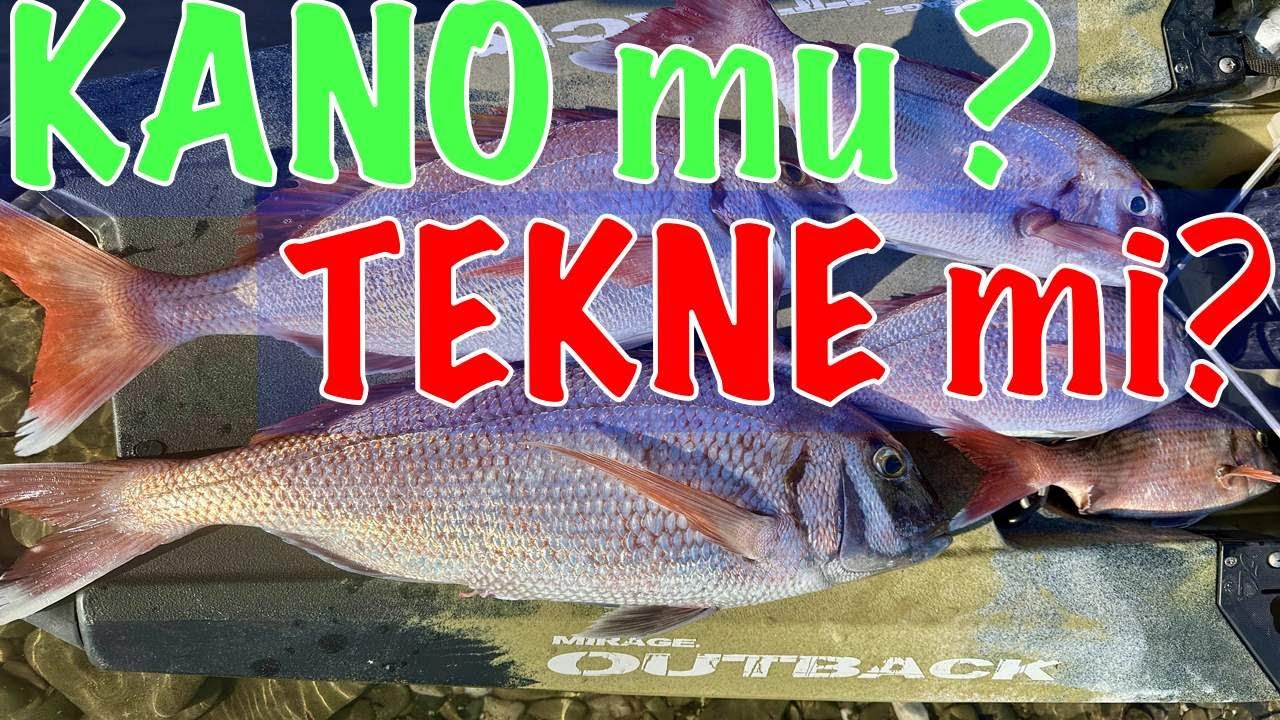 İddia ETTİ ! Kano mu Tekne mi? Tai Rubber Fangri Avı @ksk kayak fishing bülent
