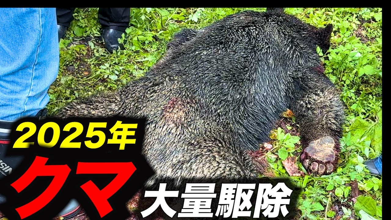 【総編集】2025年に大量出没したクマたち