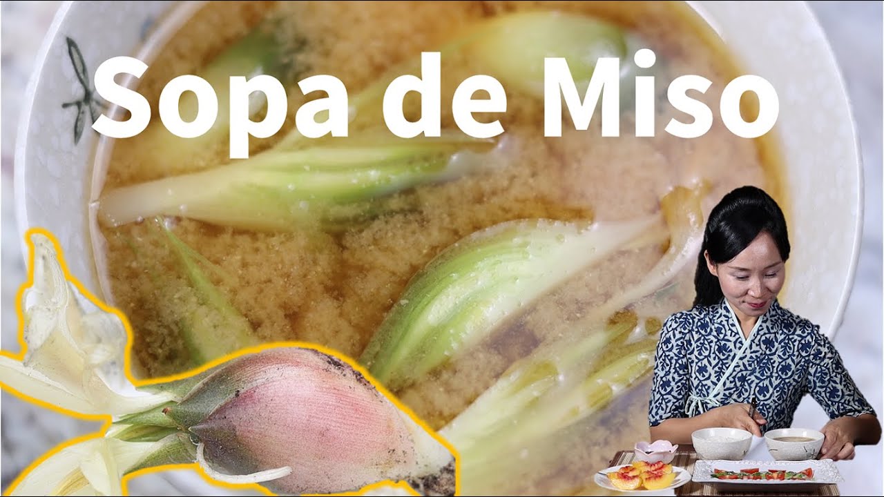 Sopa de Miso /Miso Soup with Mioga / 茗荷 味增汤 / 自家菜園のみょうが　味噌スープ