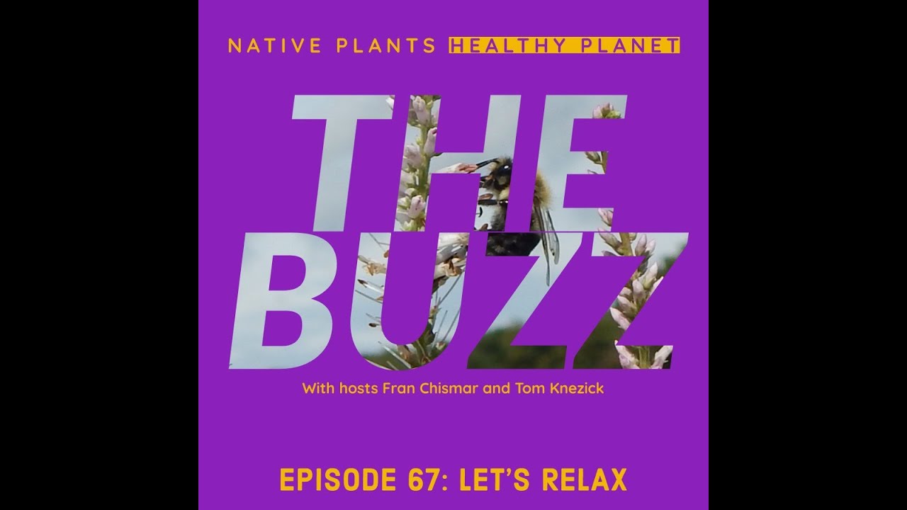 Native Plants Healthy Planet Ep. 67 - The Buzz: Let's Relax