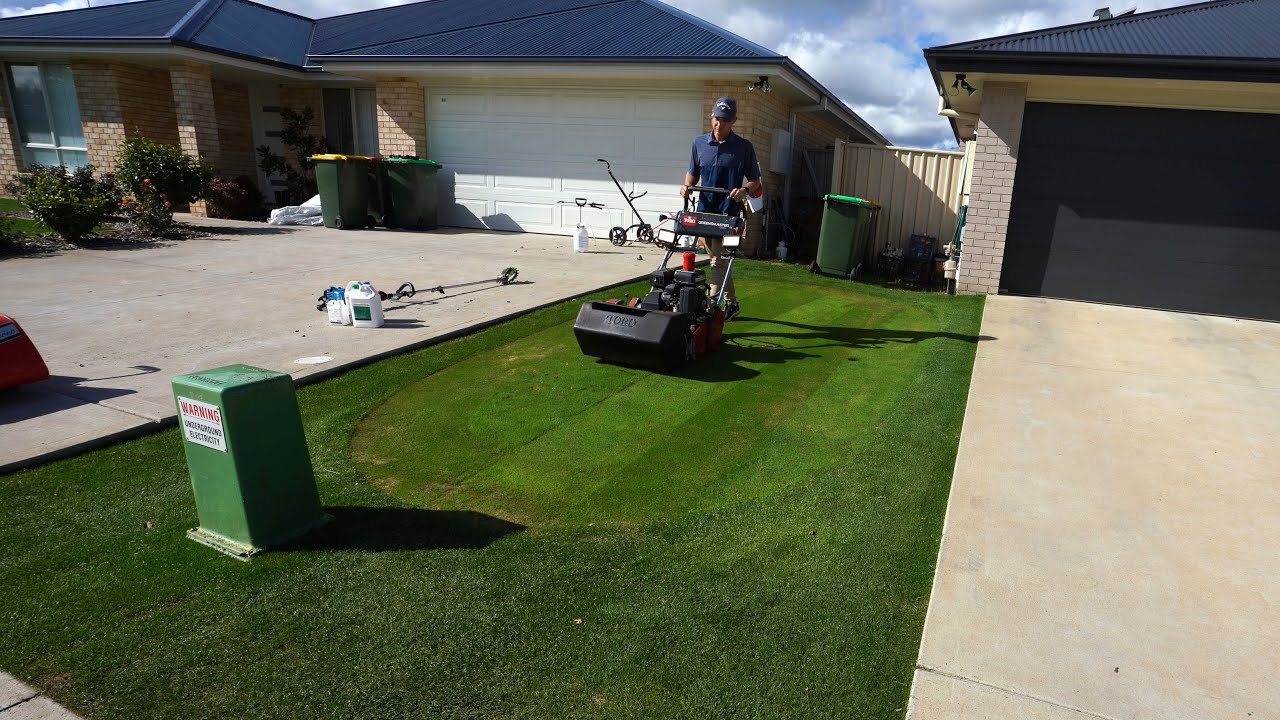 Mowing My 27 Day Old Seed At 6mm!!! (0.23