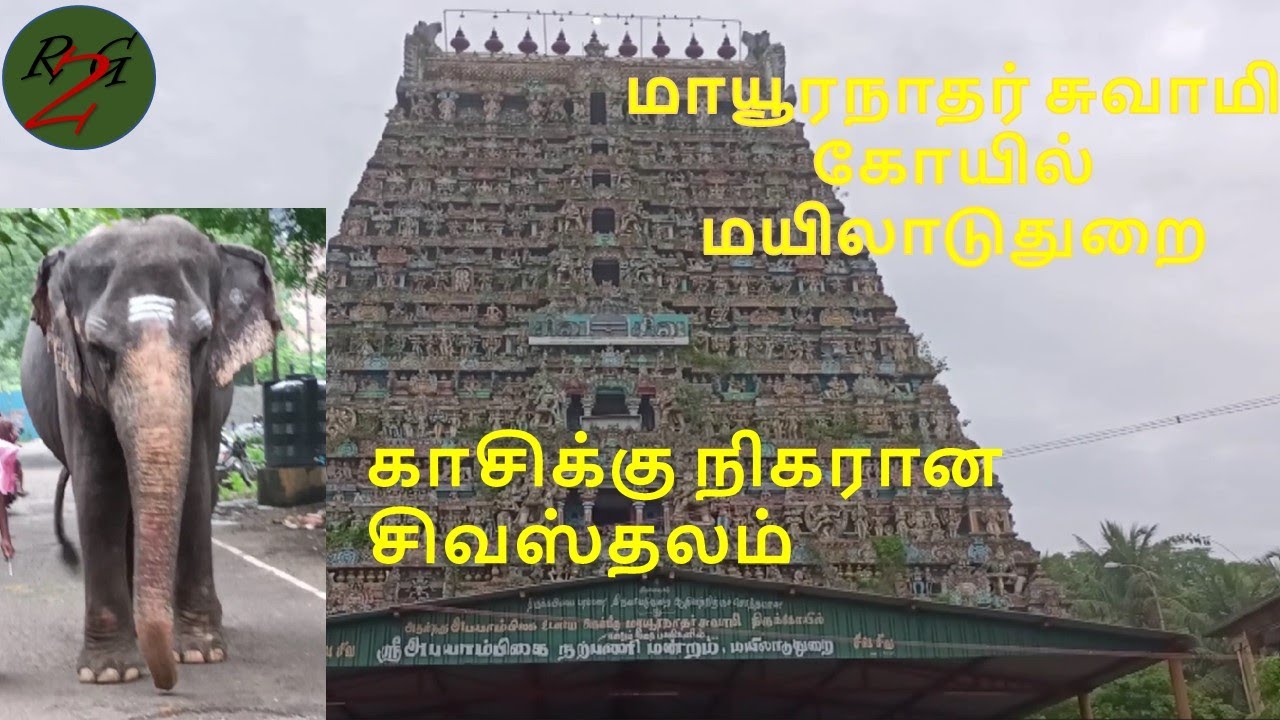 மயிலாடுதுறை மாயூரநாதர் திருக்கோவில் வரலாறு| Mayiladuthurai Mayuranathaswami temple |Ready2Go Kumaran