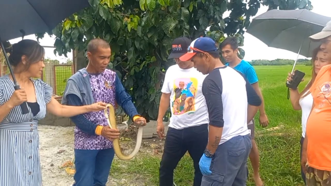 COBRA GINULAT ANG MGA TRABAHADOR SA CONCEPCION, TARLAC | JTG Kamandag