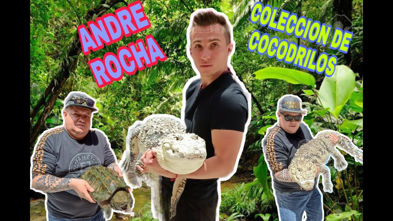 La casa de los cocodrilos con Andre Rocha