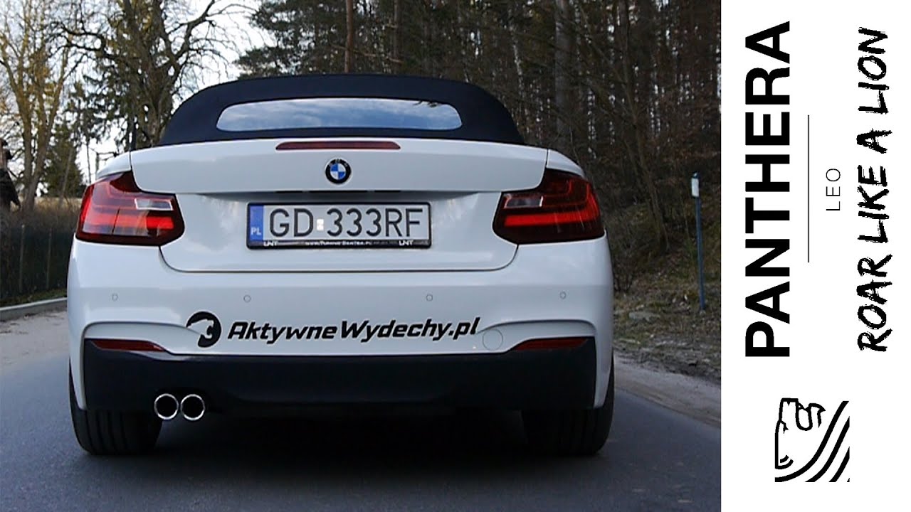 Drive off | Panthera LEO MAGNA Sound Booster - Aktywny Wydech | Wydechowe.pl