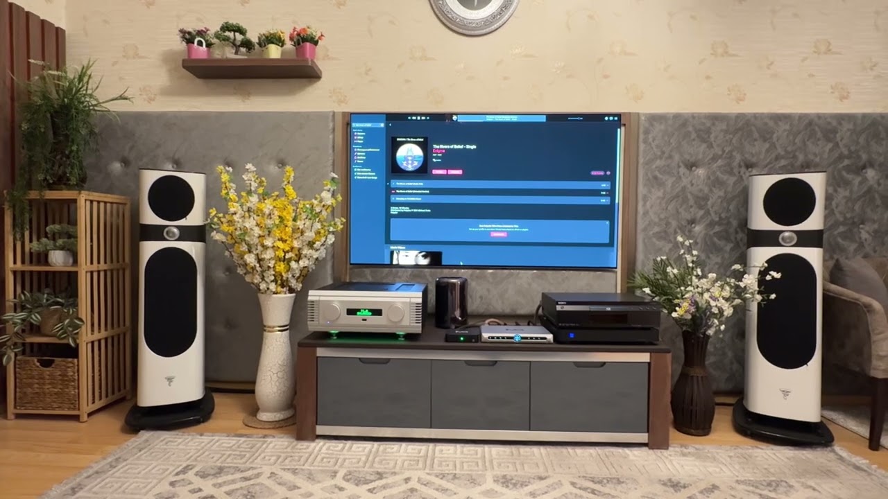 Focal Sopra vs MF Nu Vista 800, Enigma