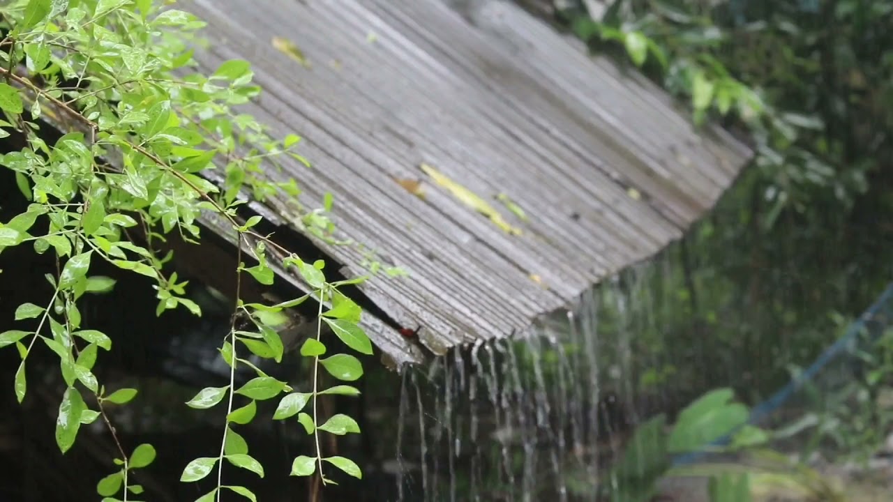 Sağanak |  Çinko Çatıya Vuran Yağmur sesi     &     Heavy | The Sound of Rain Hitting The Zinc Roof